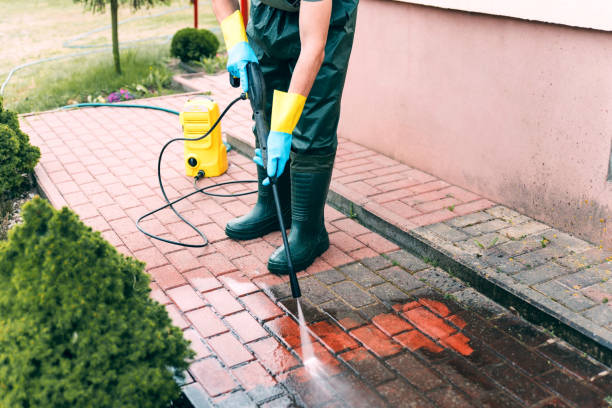 Best Deck Cleaning Services  in Gladstone, MI