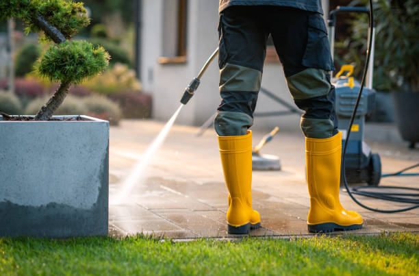 Best Pressure Washing Company Near Me  in Gladstone, MI